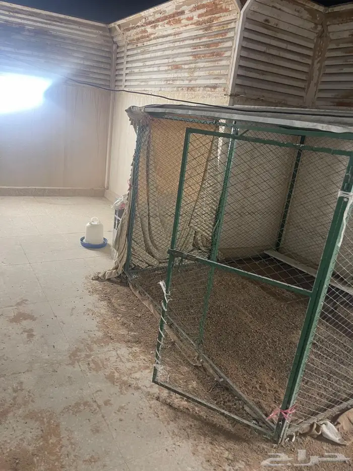 شبك بقلاوه مستعمل 0