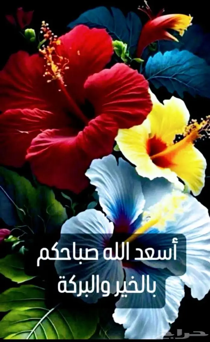 مدرس مواد هندسة مدنية لطلاب الجامعات والمعاهد 0