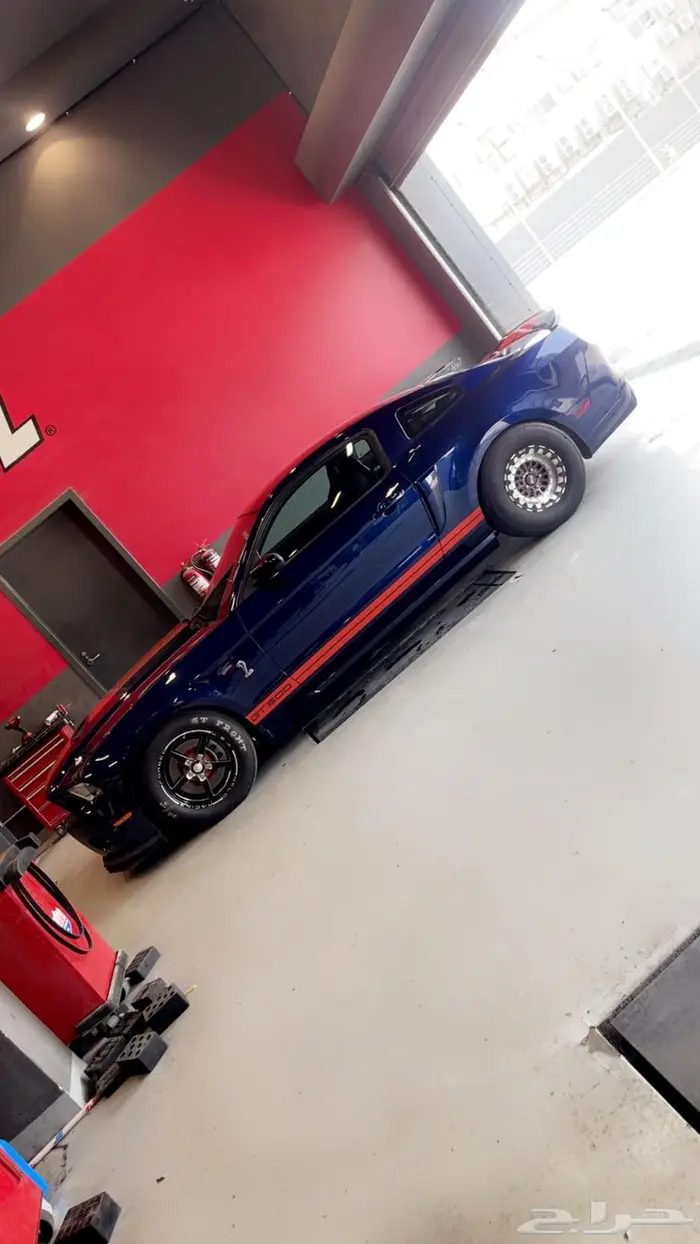 Shelby 2010 1