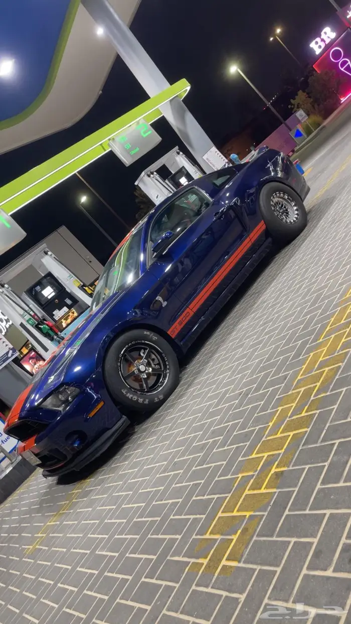 Shelby 2010 0