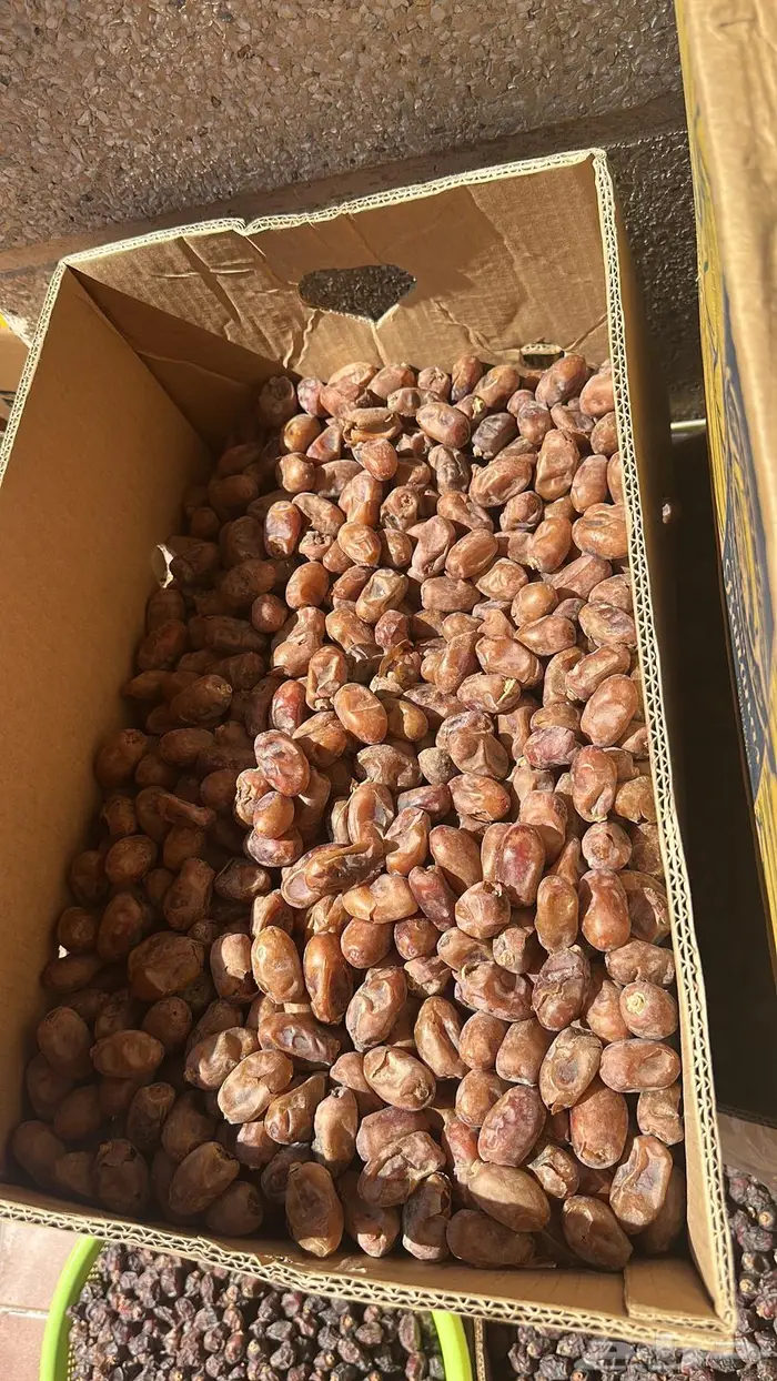 تمور الاحساء للطلب خاص 0