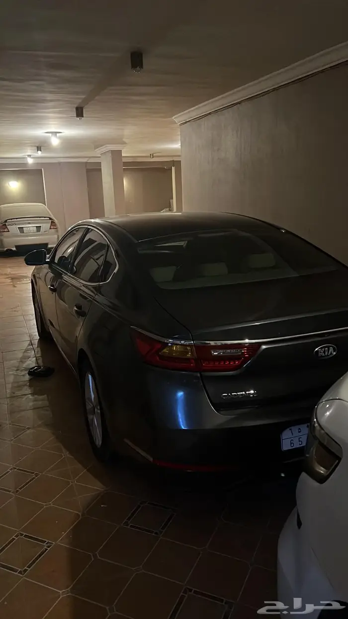 كادينزا 2018 ستاندر 2