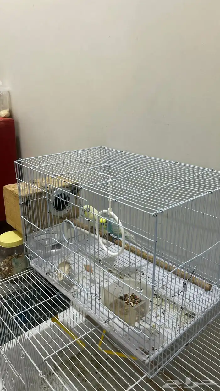 للبيع زوج بادجي منتج 6