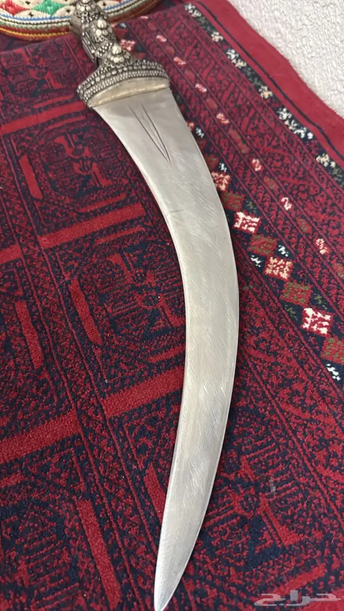 جنبيه ذريع 17