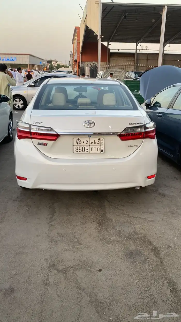 كورولا 2019 7