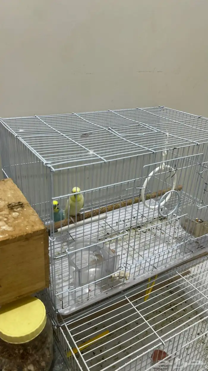 للبيع زوج بادجي منتج 8