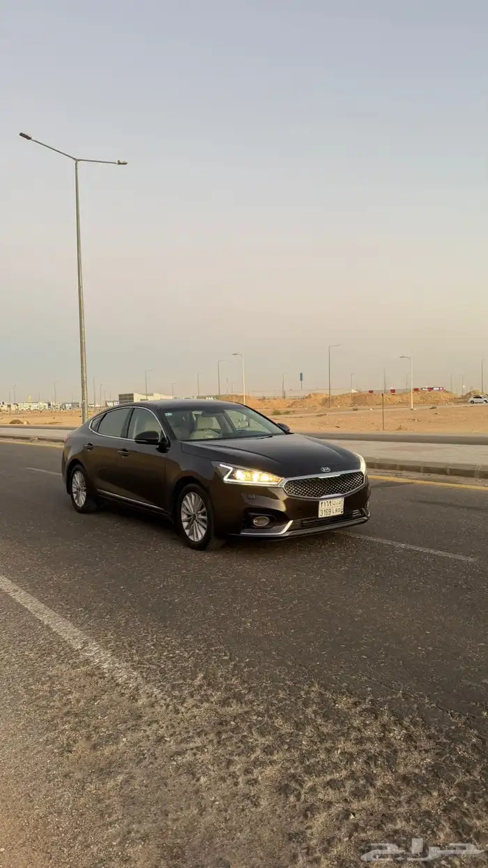 كادينزا 13