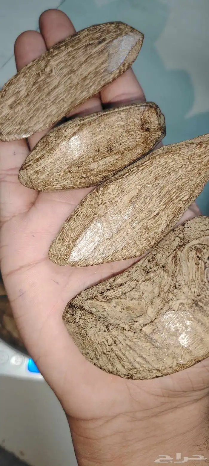 عود مروكي فاخر طبيعي محسن درجه اولى بسعر فاخر 2