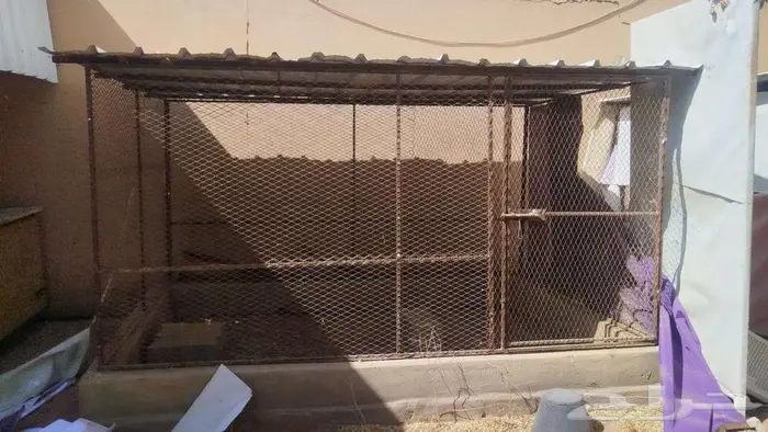 شبك طيور 3