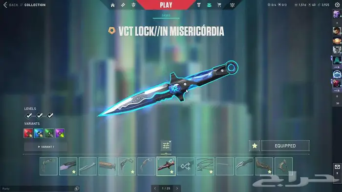 حساب فالو فالورانت Valorant account 54