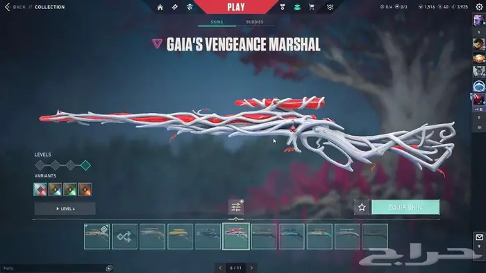 حساب فالو فالورانت Valorant account 62