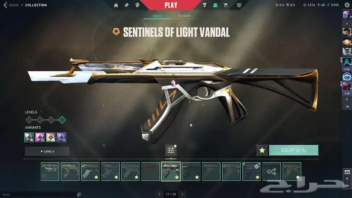 حساب فالو فالورانت Valorant account 51