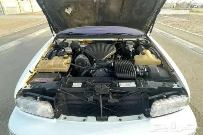 كابرس LTZ 19