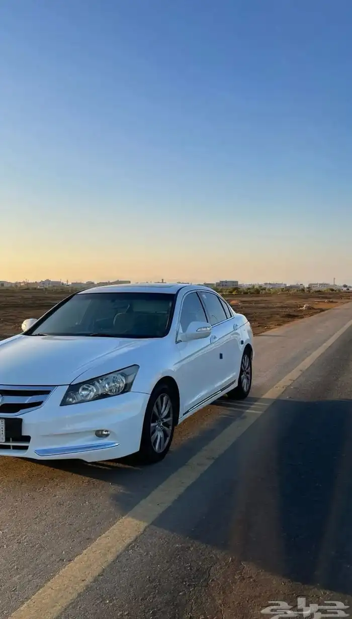 كورد للبيع 2012 0