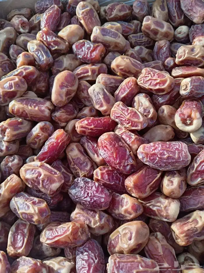 تمر صقعي للبيع كراتين موز 20كيلو الكميه حوالي 5طن 0