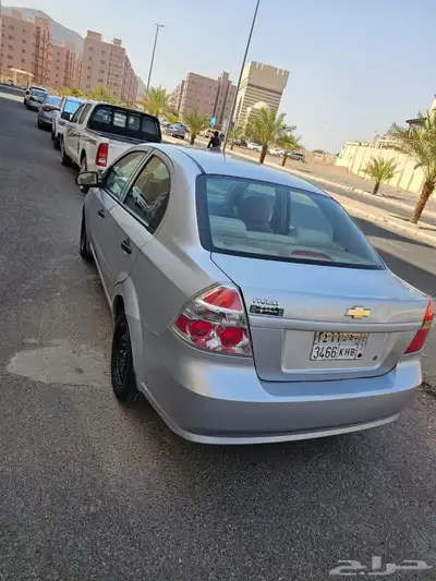 شفرليت افيو index