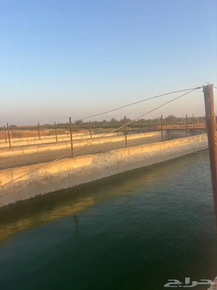 مزرعة متكاملة وجاهزة جانين بحائل للبيع 8