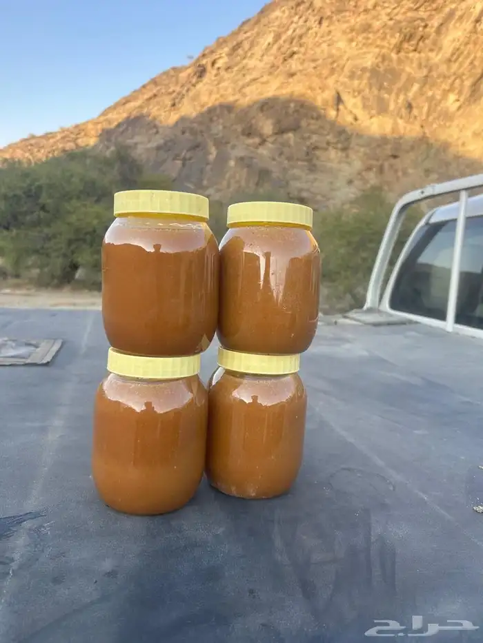 عسل سدر بلدي شرط 0