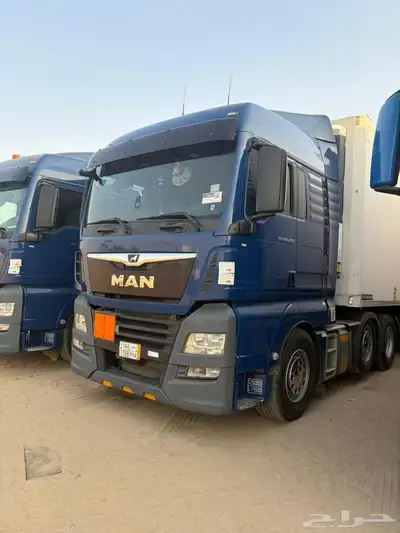 جده الفضيه index