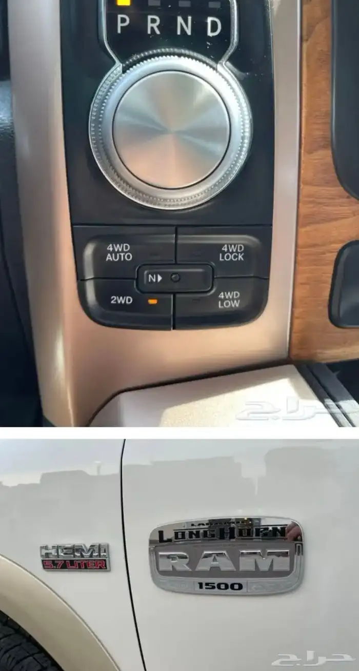 رام لوينيق هورن 2017 للبيع 13