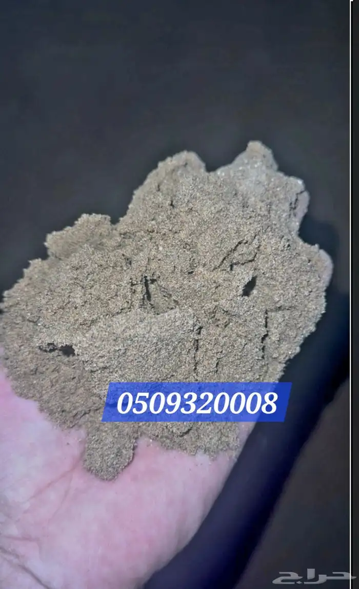 بطحه دفان بطحه بلاط طرطشه عدسيه 9