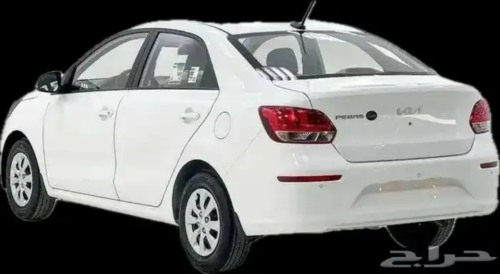 بيجاس 2026 ستاندر كاش - تاجير 1