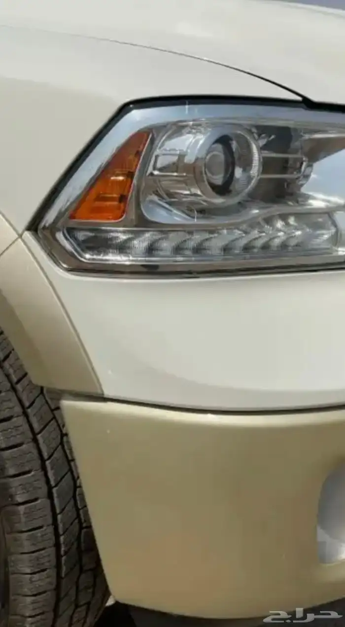 رام لوينيق هورن 2017 للبيع 6