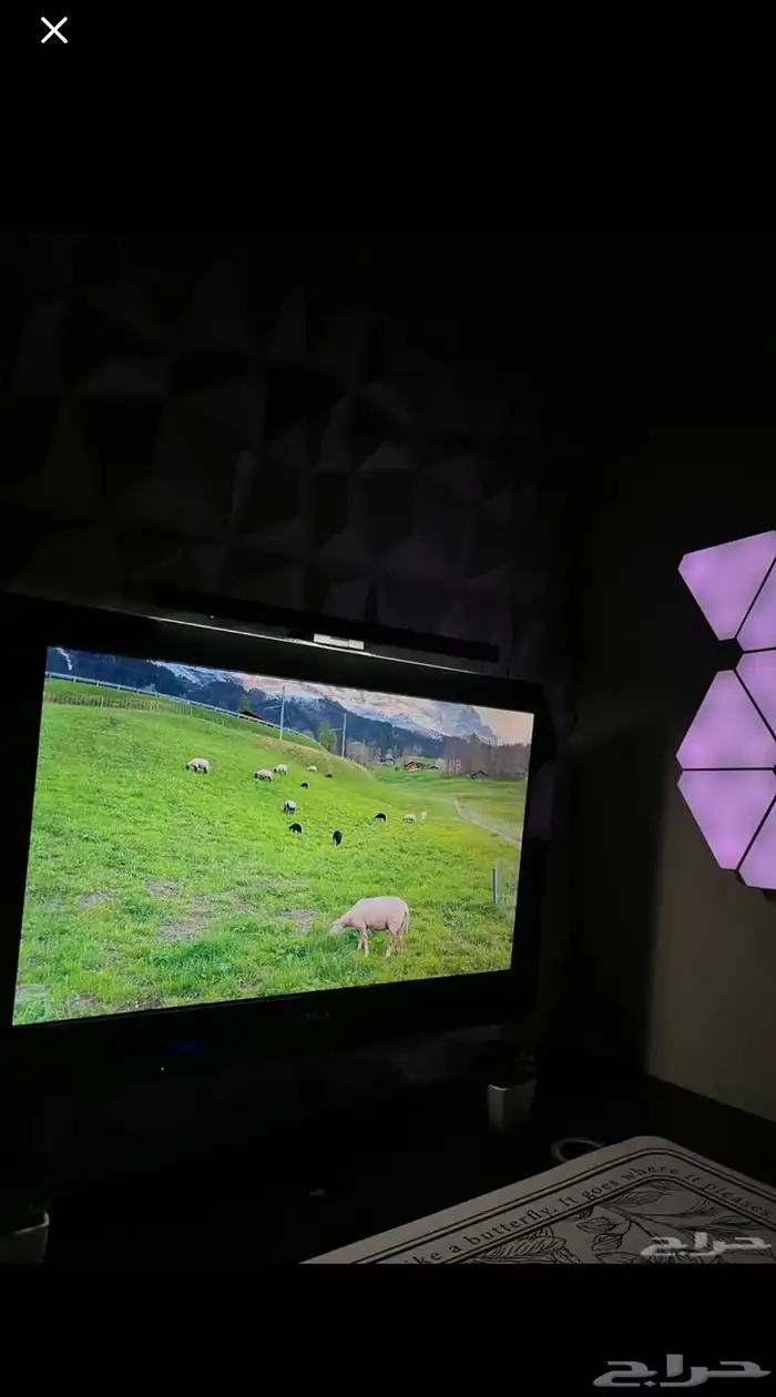 شاشه لسوني او للبيسي جودتها 100 100 1