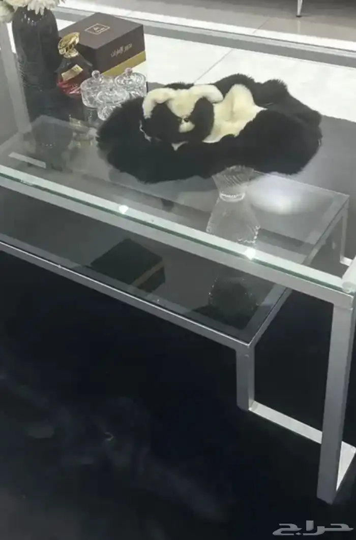 طاوله قزاز مستطيله دورين مع ستة رخام خدمة 2