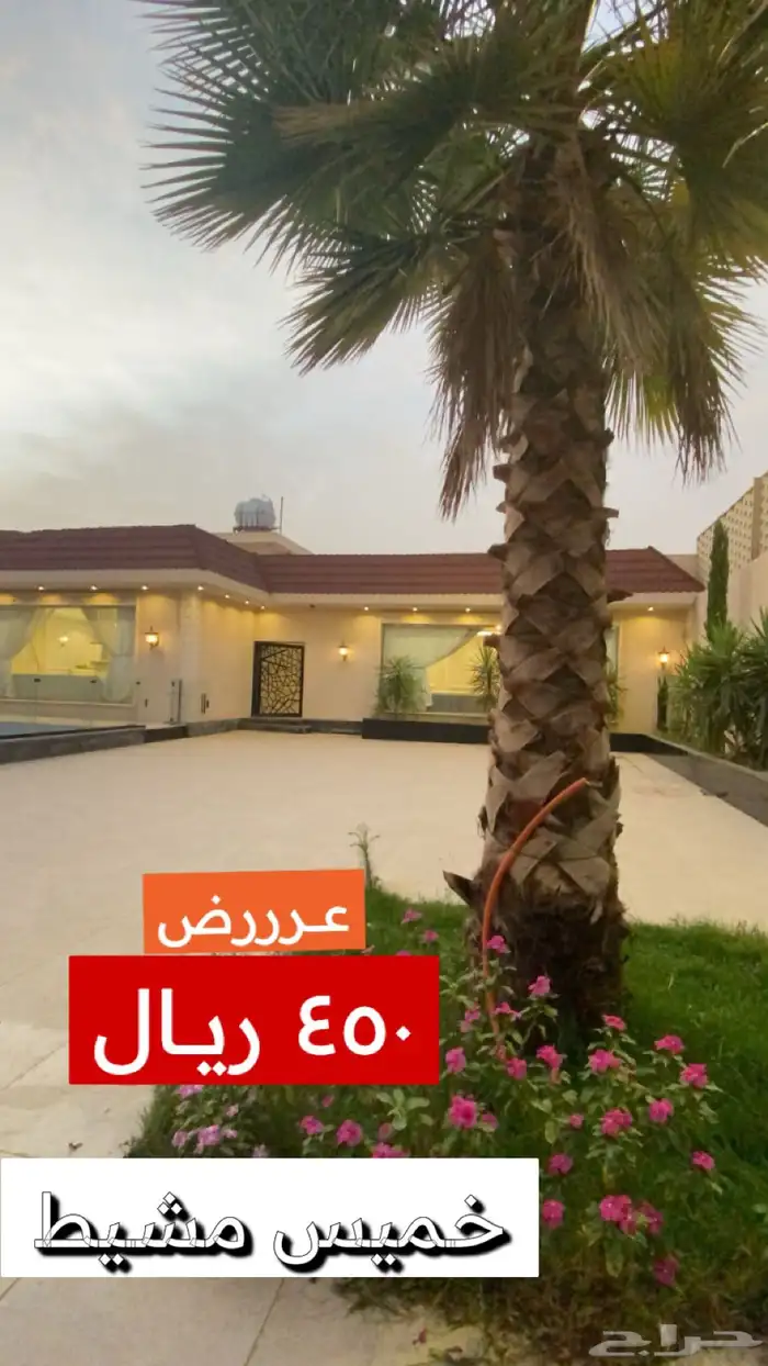 شالية مميز للاجار خميس مشيط يومي شهري 0