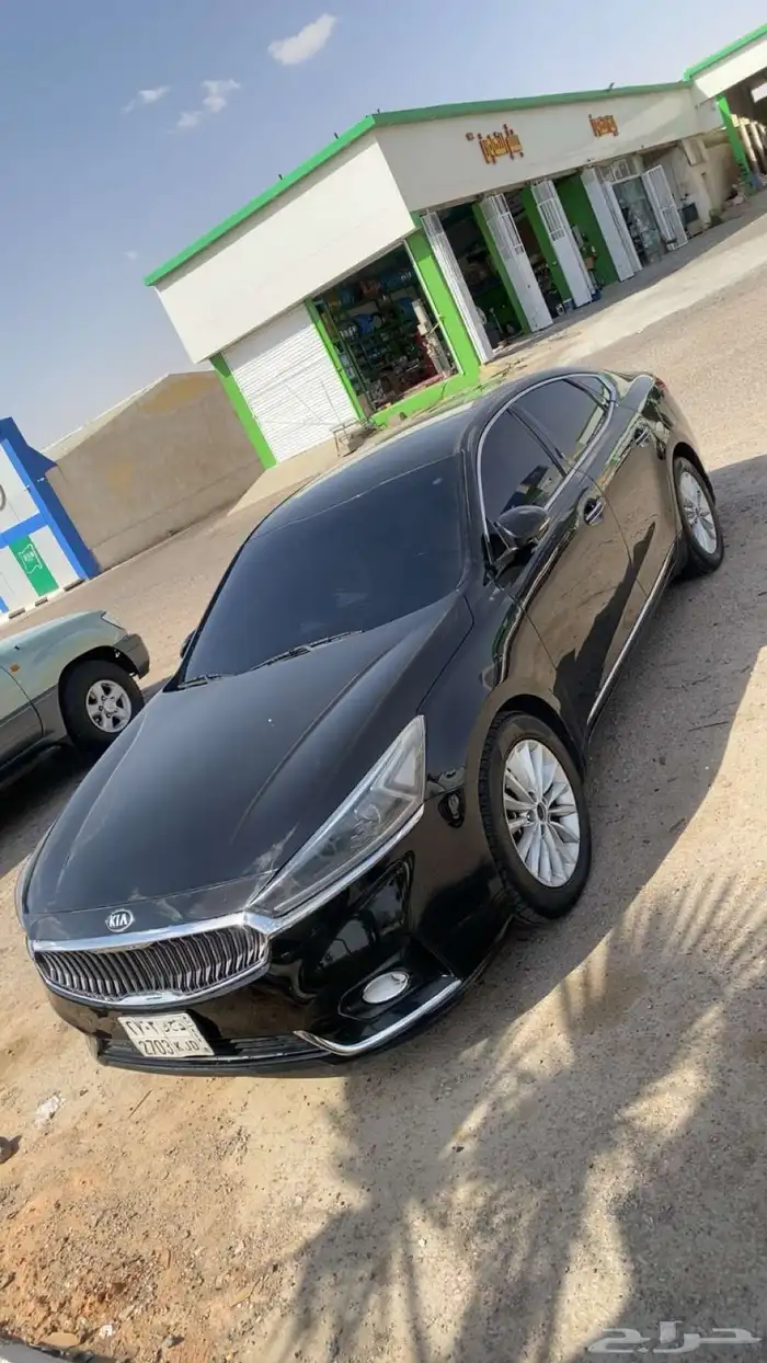 كادينزا 2018 4