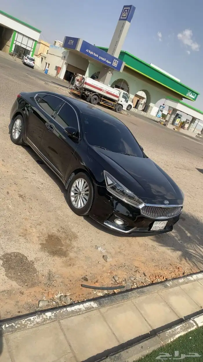 كادينزا 2018 5