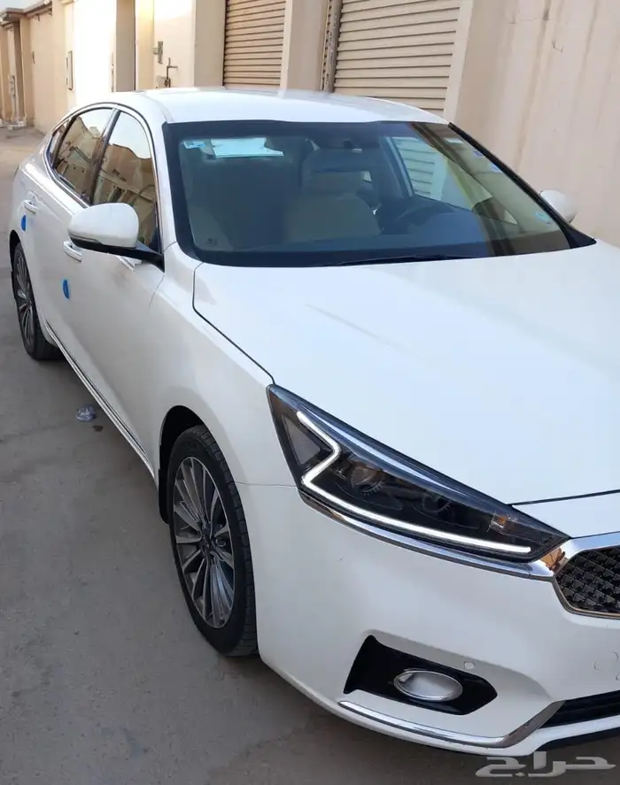 كادينزا 2020 2