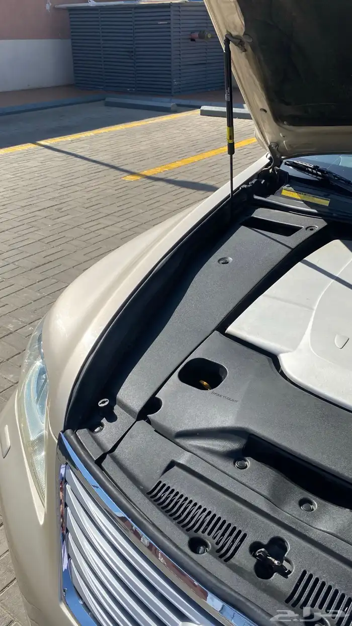 لكزس LS460 2010 شورت 19