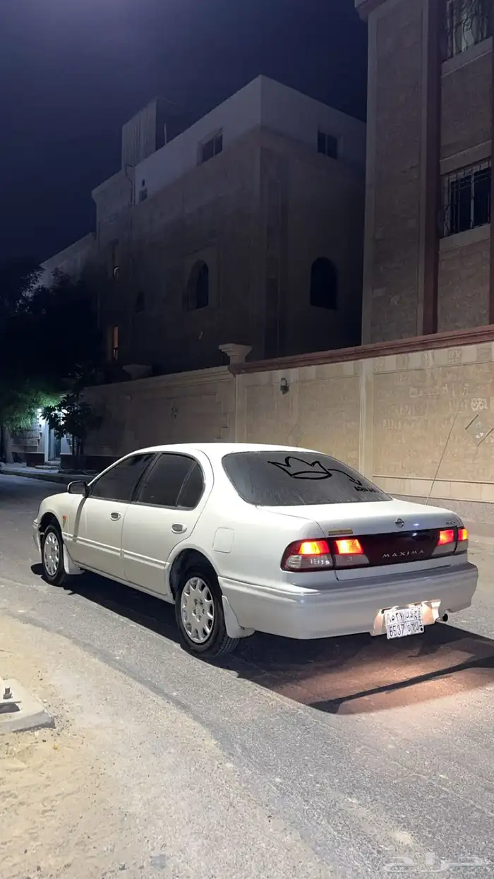 مكسيما 1999 7