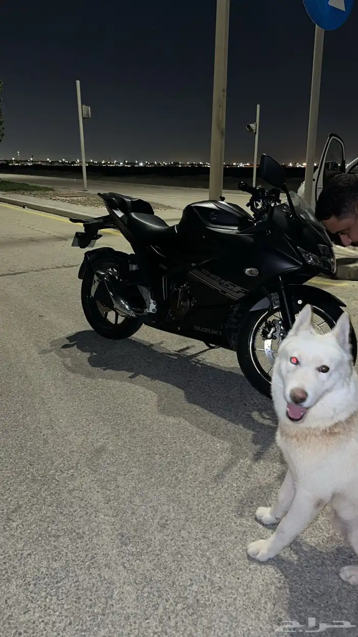 دباب سزوكي 250 cc ريس 1
