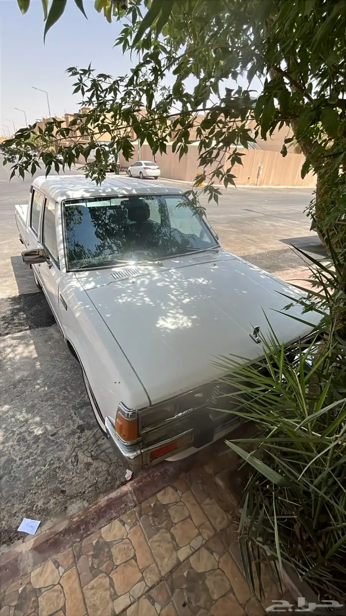 ددسن غمارتين 1985 مجدده من الى بإذن الله 0