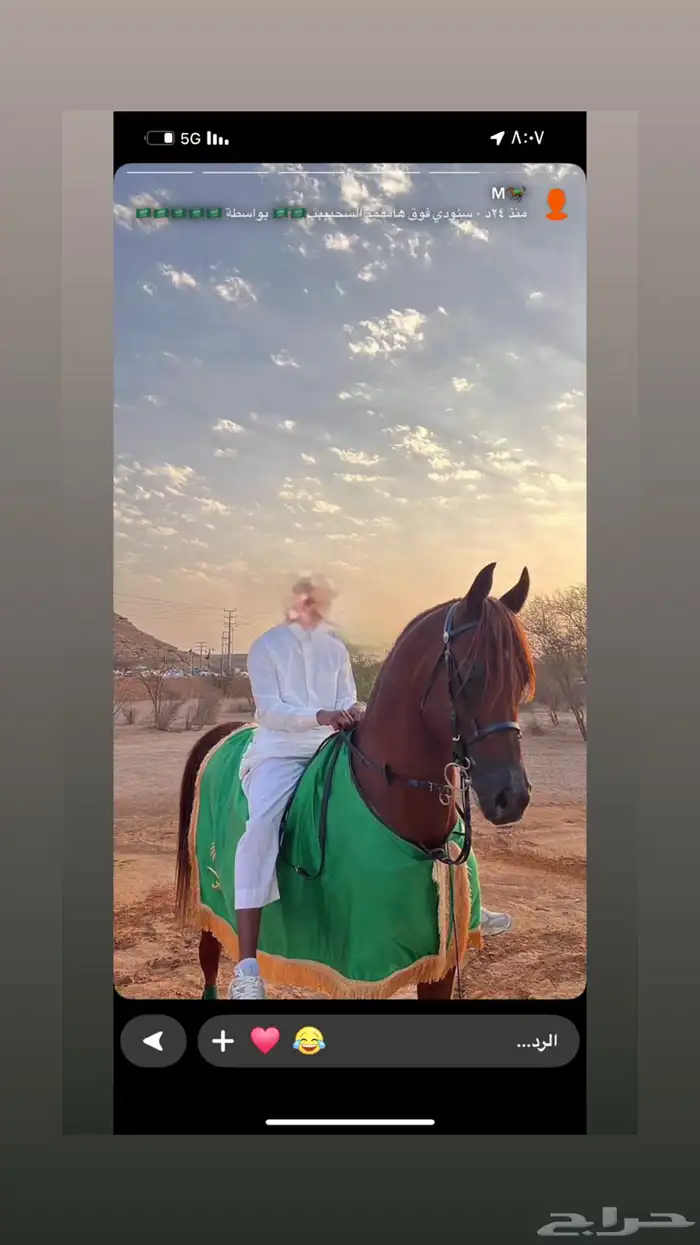 حصان واهو اشقر 9