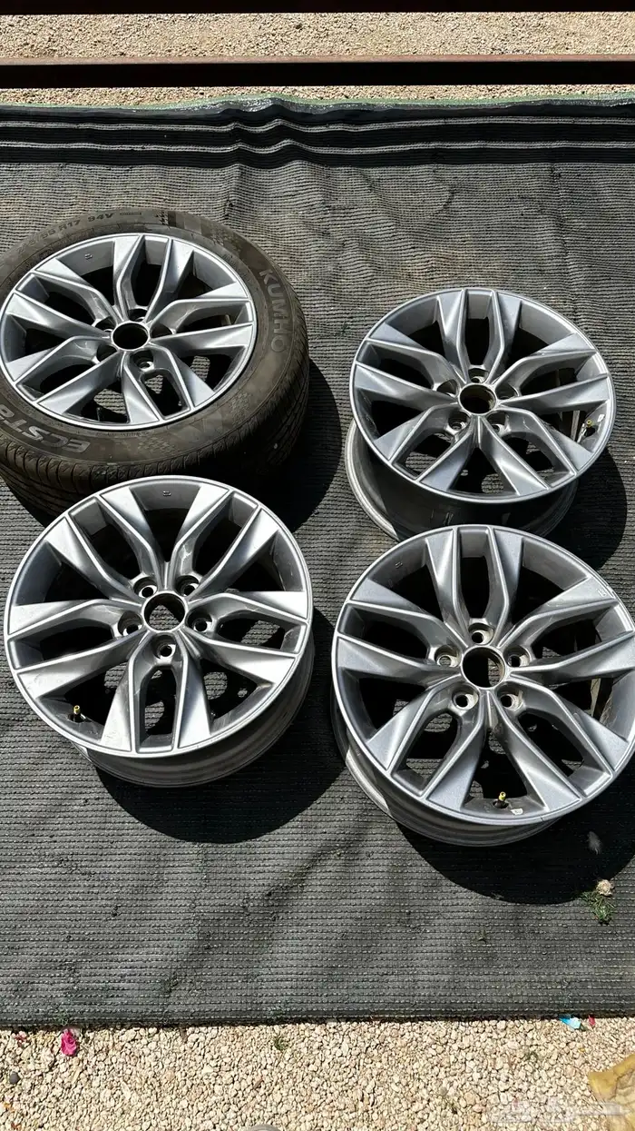 جنوط افيلون2019 وكاله 4