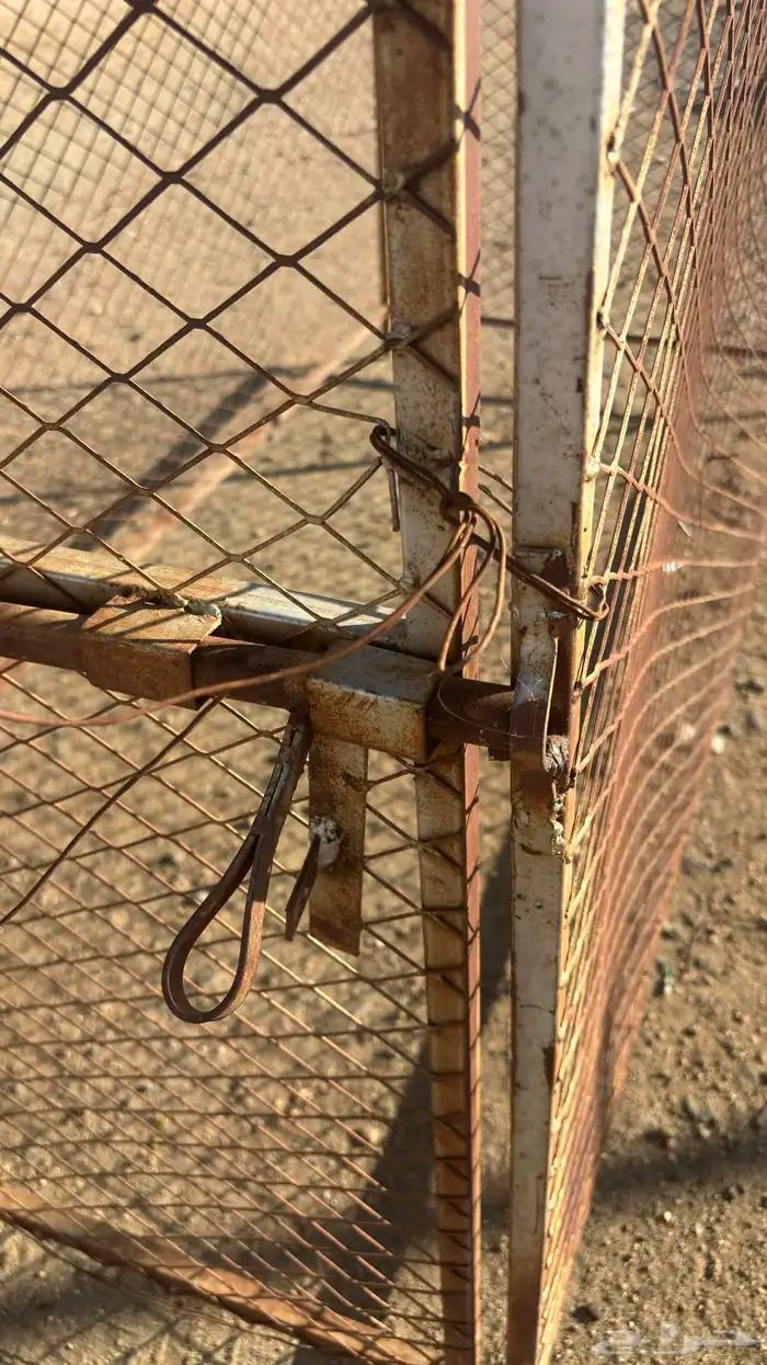 شبك دجاج 2
