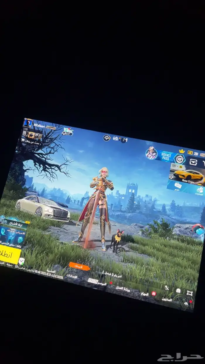 حساب ببجي بيع او تبديل 0