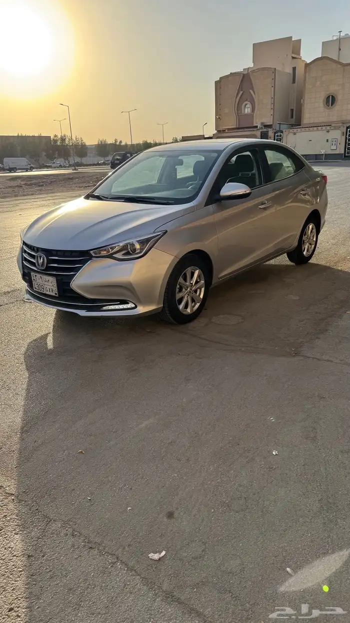 شانجان السفن 2024 1