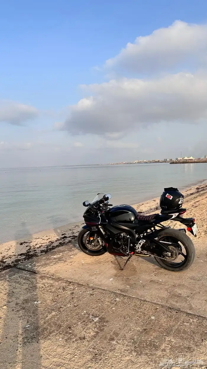الدباب وكاله اول مالك 0