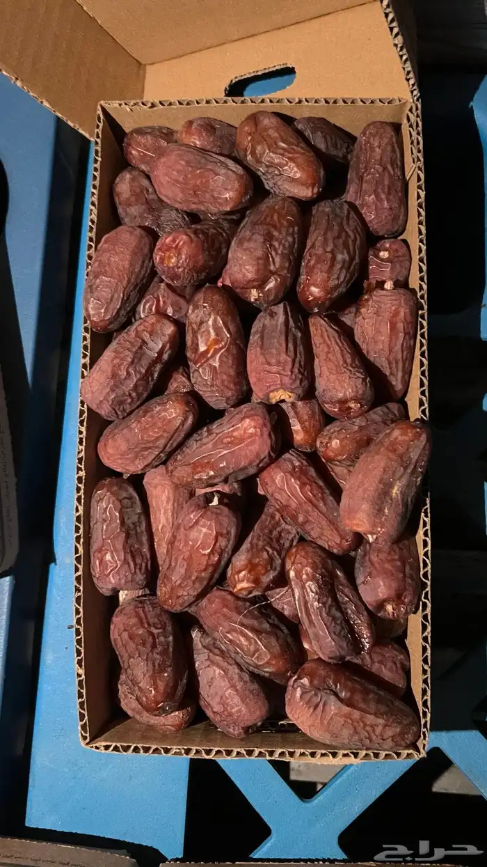 جميع انواع تمر نجران. 8