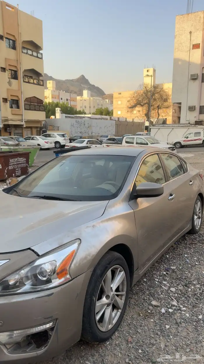 التيما 7