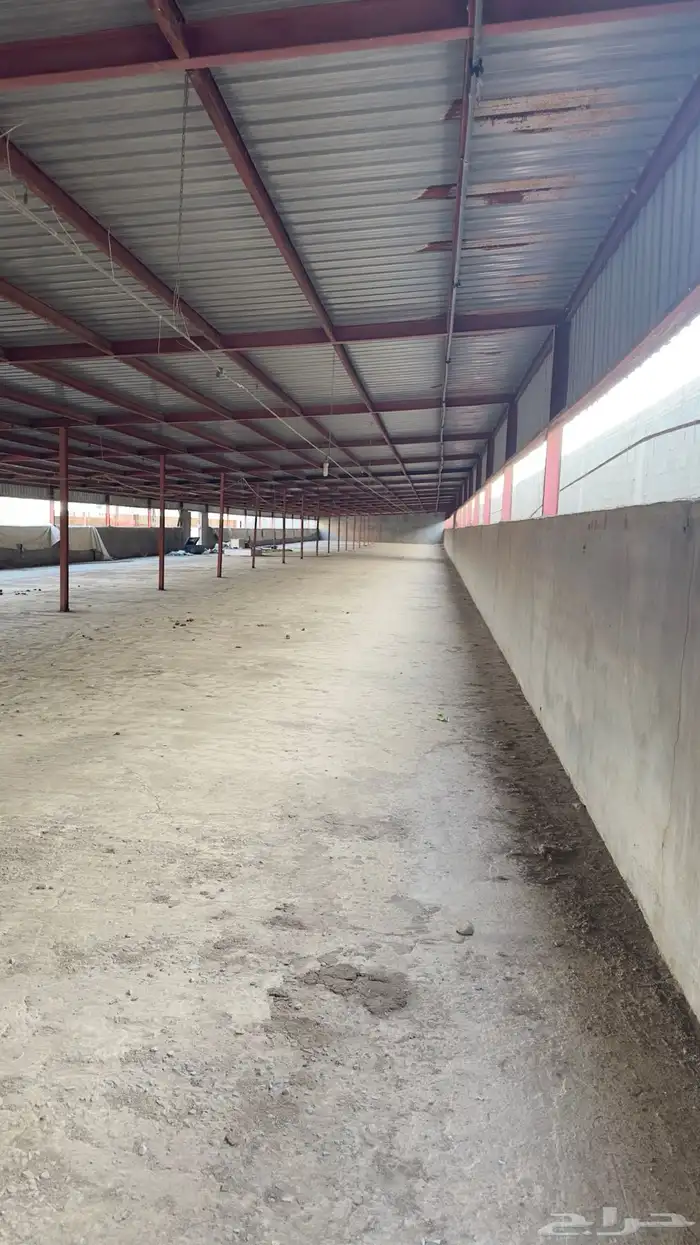 مستودعات للاجار 1