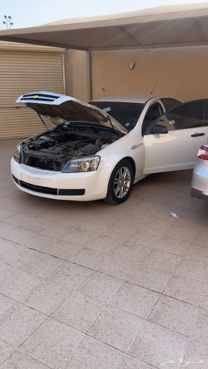 كابرس 2012 4