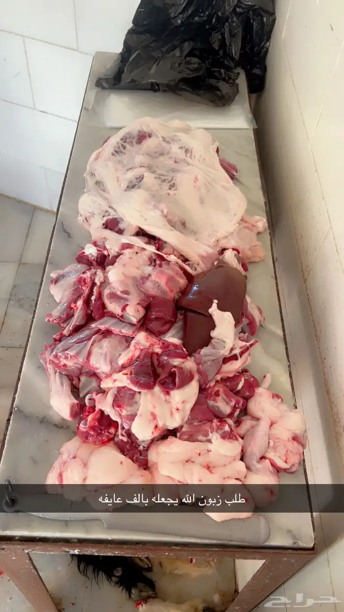 ذبايح كفو طليان مغلقه الموقع بالجرشي الشطيبه 9