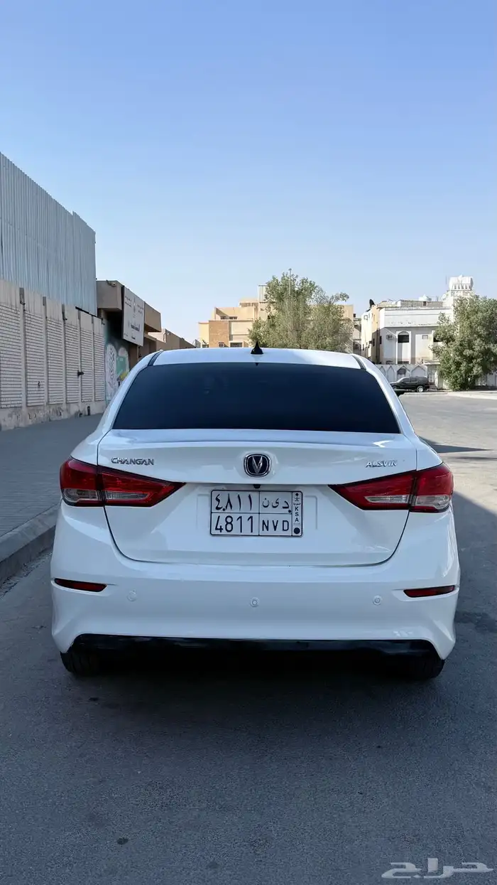 شانجان السفن 2022 4