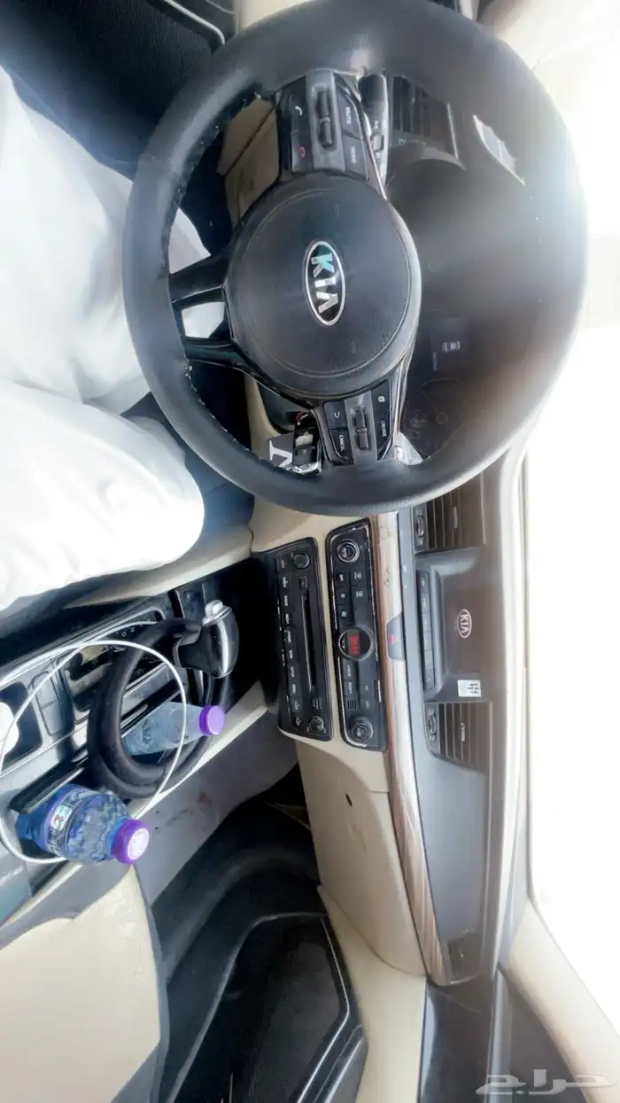 كادينزا 2018 3